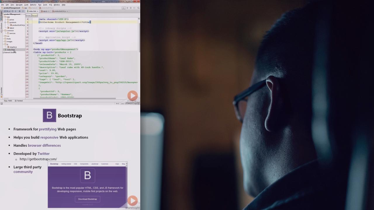 AngularJS Line of Business Applications