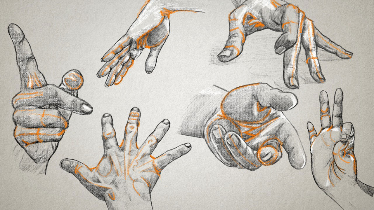 Drawing the Arms and Hands Pluralsight