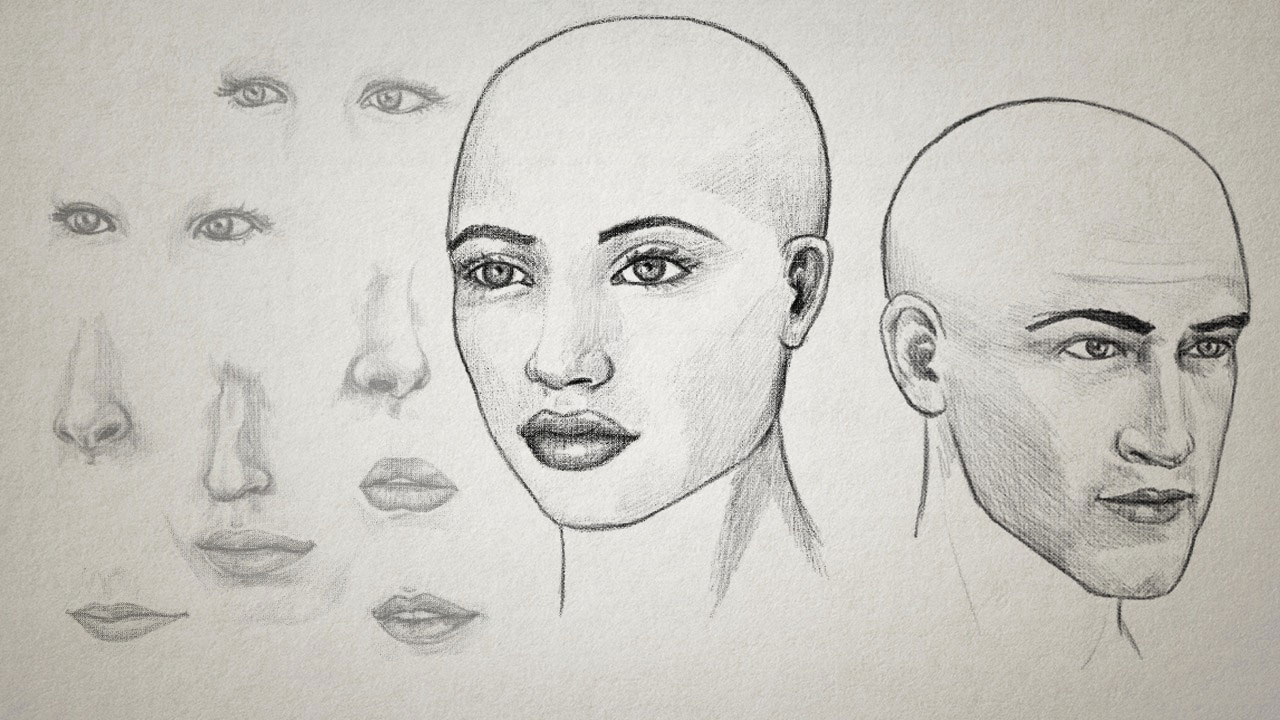 How To Draw Faces - Drawing Portraits and Facial Features