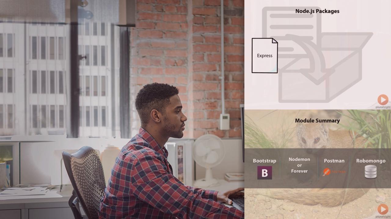 Introduction to Mongoose for Node.js and MongoDB from Pluralsight | Course by Edvicer