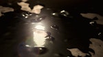 Creating a Paint-bubbling Effect Using Cloth in Cinema 4D