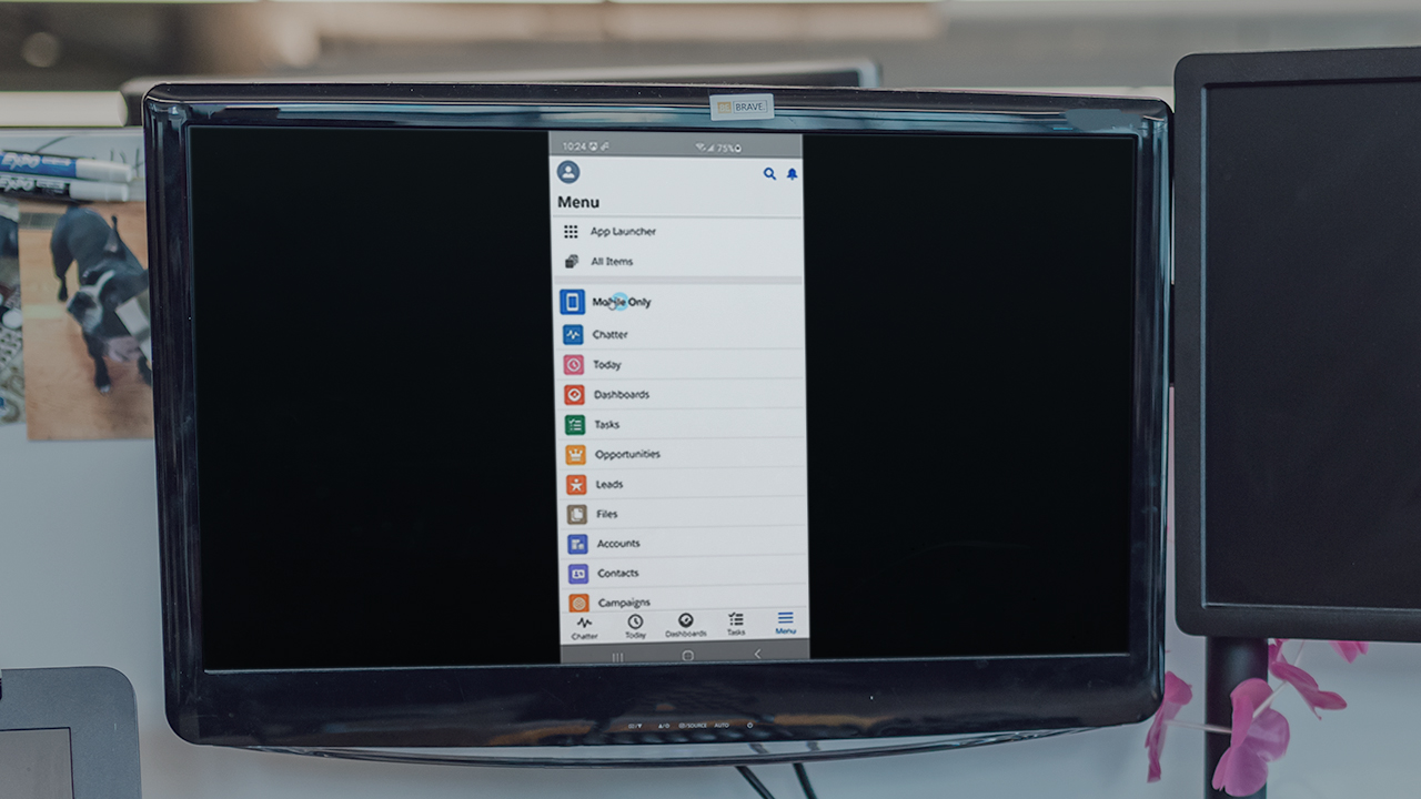Administering the Salesforce Desktop and Mobile Applications Pluralsight